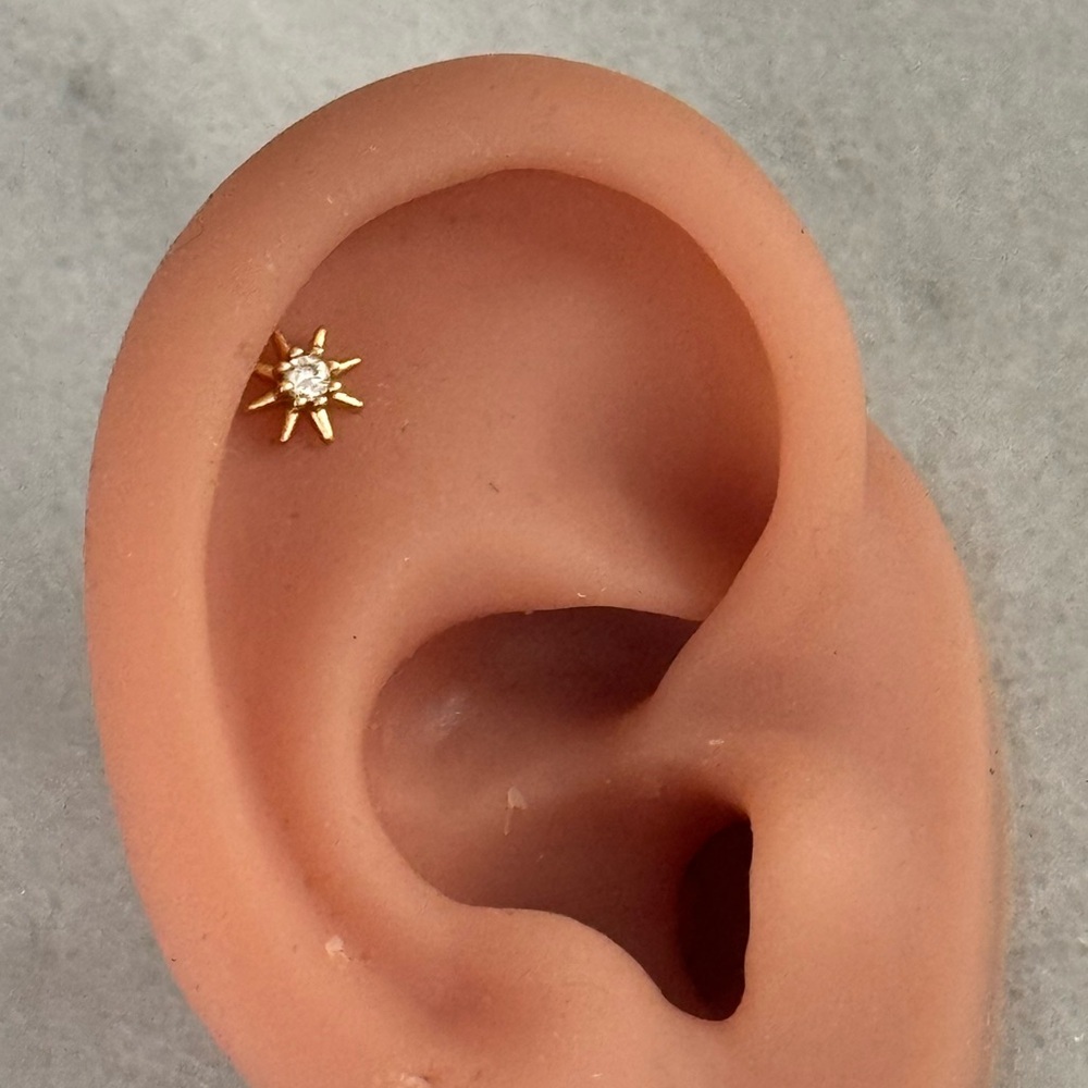 Gold Star Burst Crystal Cartilage Earring Brand New

Brand New